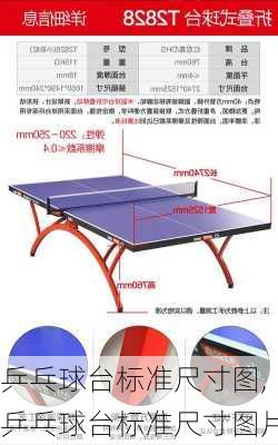 乒乓球台标准尺寸图,乒乓球台标准尺寸图片